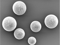 Scanning electron micrograph of BioBullets